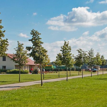 Ferienwohnung Hof Maiweg Alt Schonau Esterno foto