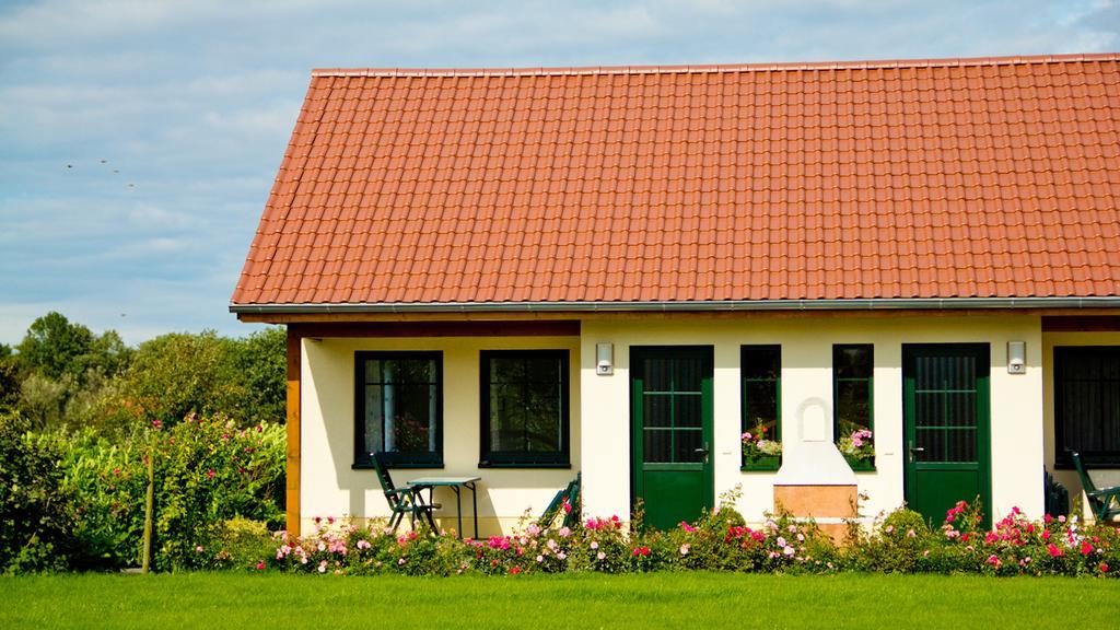 Ferienwohnung Hof Maiweg Alt Schonau Esterno foto