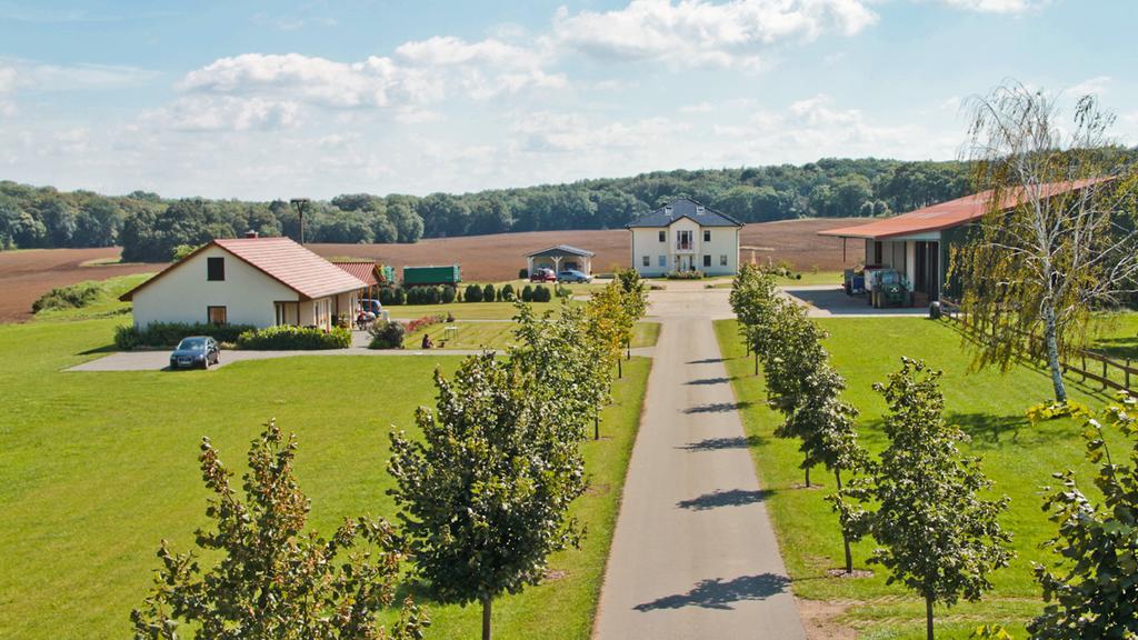 Ferienwohnung Hof Maiweg Alt Schonau Esterno foto